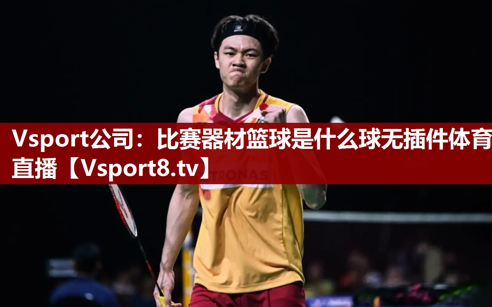 Vsport公司：比赛器材篮球是什么球无插件体育直播