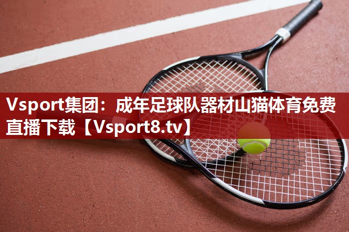 Vsport集团：成年足球队器材山猫体育免费直播下载