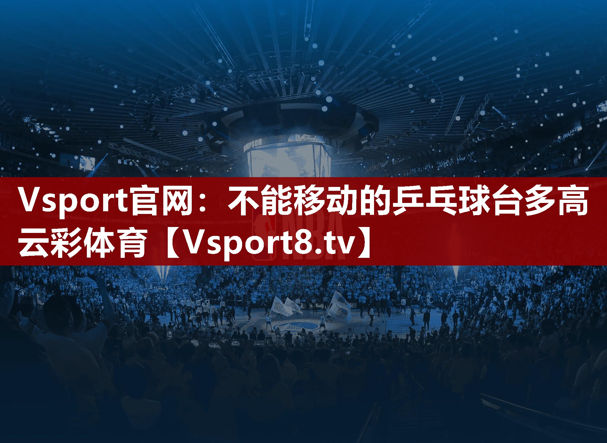 Vsport官网：不能移动的乒乓球台多高云彩体育