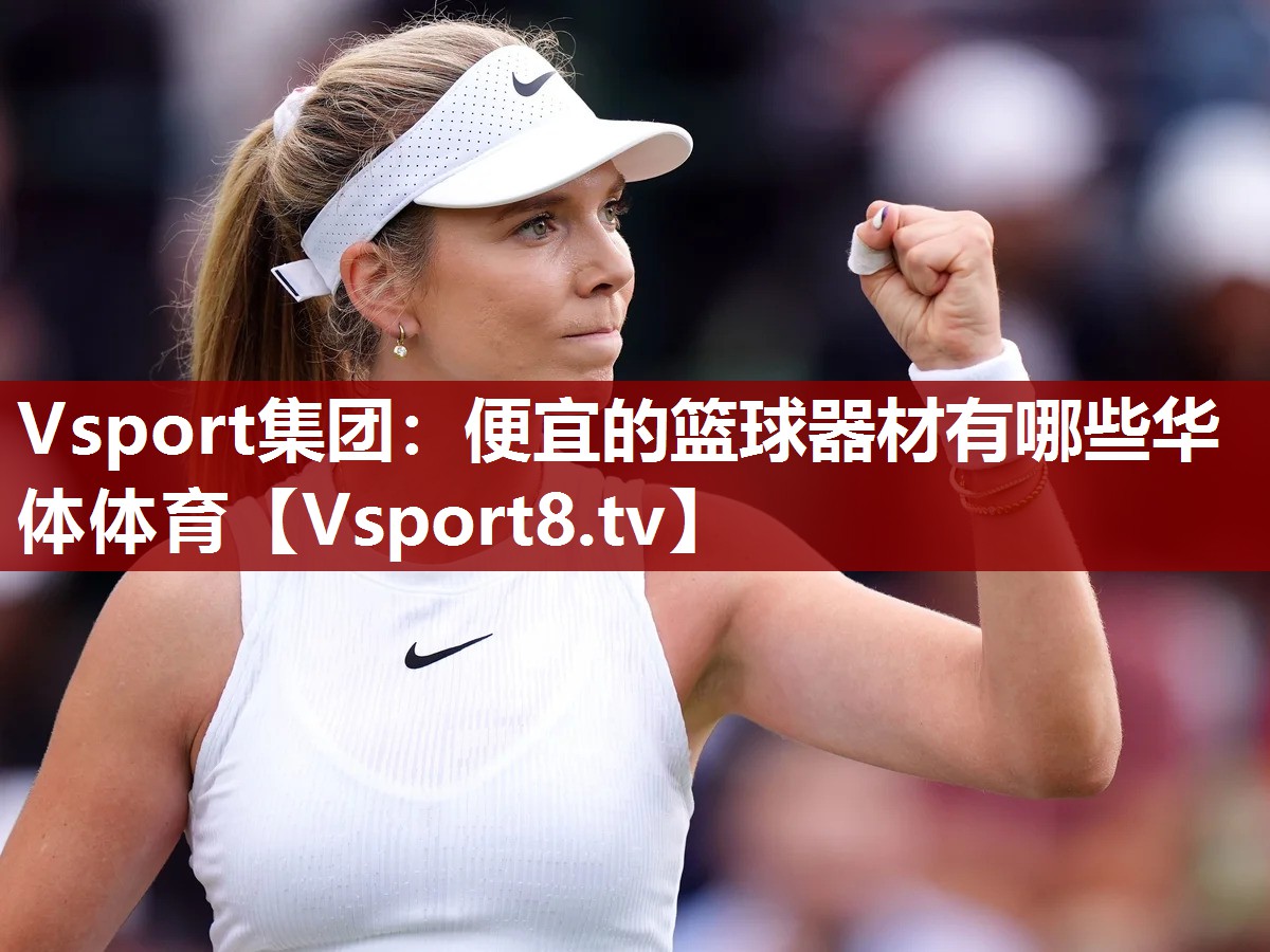 Vsport集团：便宜的篮球器材有哪些华体体育