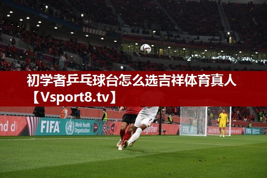 初学者乒乓球台怎么选吉祥体育真人