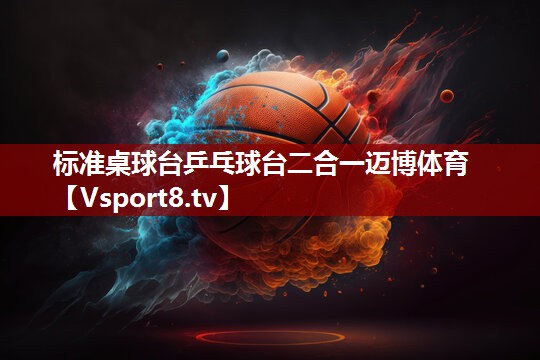 标准桌球台乒乓球台二合一迈博体育