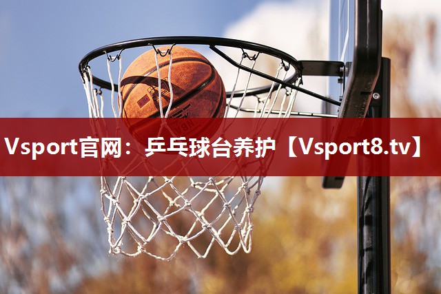 乒乓球台养护