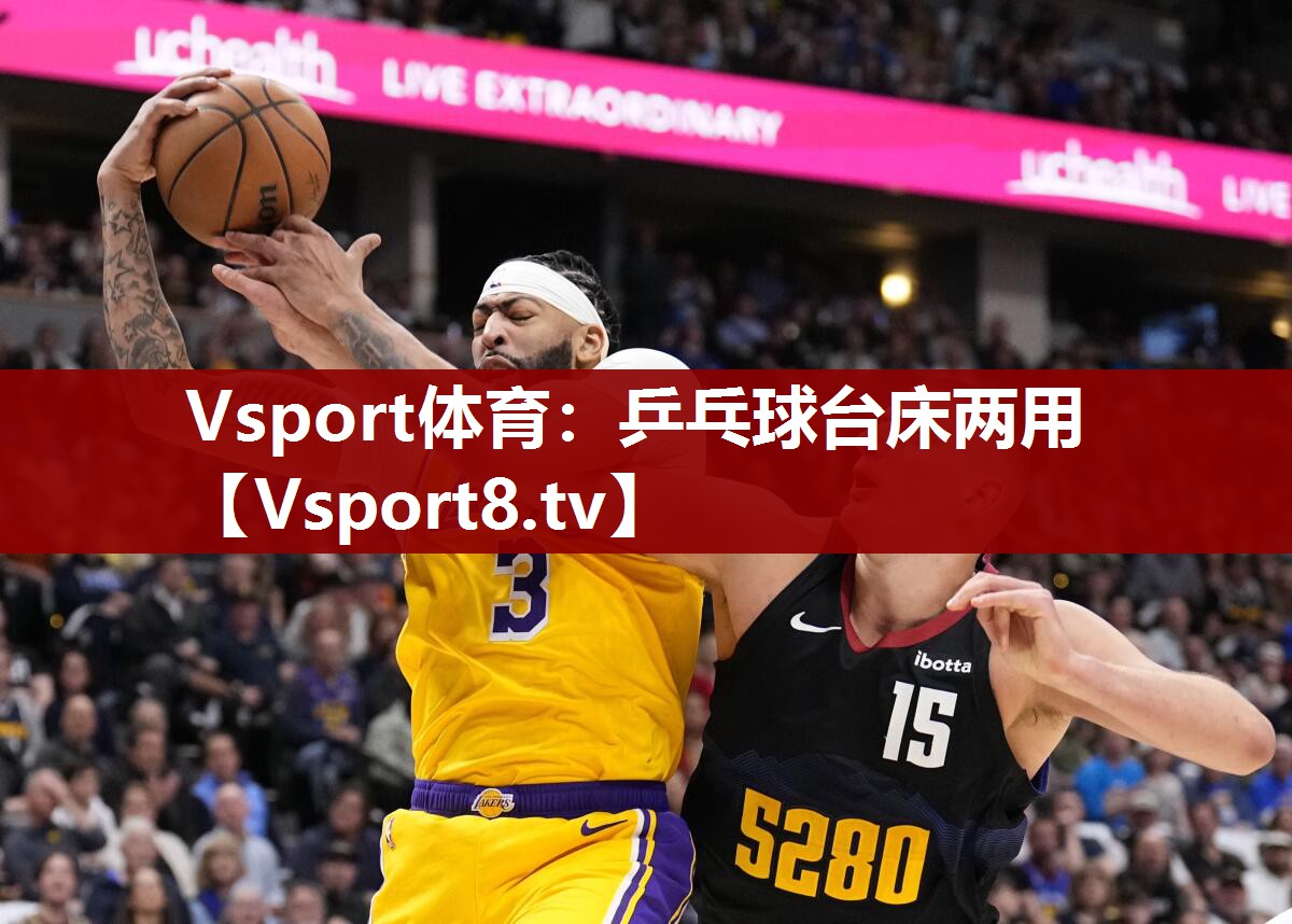 乒乓球台床两用