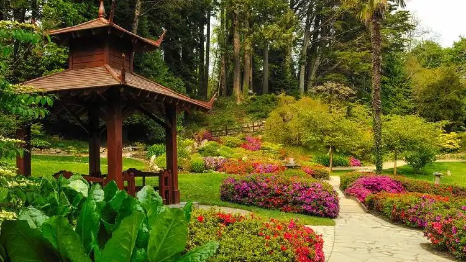 必一·运动(Bsports)官方网站园林绿化主视觉